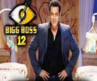 Romil ChaudharyBigg Boss 12 (TV Series 2018)