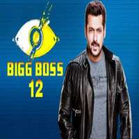 Nirmal Singh (Bigg Boss)Bigg Boss 12 (TV Series 2018)