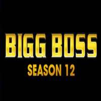 Roshmi BanikBig Boss 12 (TV Series 2018)