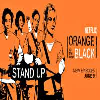 Danielle BrooksOrange is the New Black as Tasha Taystee Jefferson (TV Series 2013-Present)