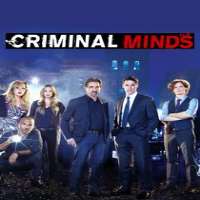 Paget BrewsterFriends as Kathy (TV Series 1997-1998), Criminal Minds as Emily Prentiss (TV Series 2006-2012, 2014, 2016-Present)