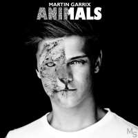 Martin GarrixBFAM (Songs 2012), Animals (Album 2013)