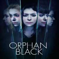 Ari MillenOrphan Black as Rudy/Mark Rollins/Seth (TV Series 2014-2017)