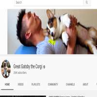 Ryen LungVlogAfterCollege (YouTube Channel 2012), Great Gatsby the Corgi (YouTube Channel 2014)