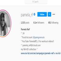 Pamela ReifPamela_rf (Instagram Account 2012), Pamgoesnuts (Instagram Account 2018)