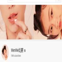 Wen WeiWenWei (YouTube Channel 2013)