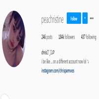 PeachristinePeachristine (Instagram Account 2016)