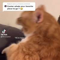 Mason GlascoMaseplace (TikTok Account 2020)
