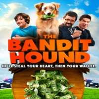 Ashlee KeatingThe Mint as Samantha Cole (Film 2015), The Bandit Hound as Stella (Film 2016)