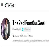 Fam0us_geeTikTok