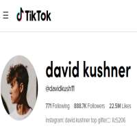 David Kushner (TikTok)TikTok