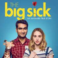 Kumail NanjianiThe Big Sick as Kumail Nanjiani (Film 2017), Silicon Valley as Dinesh Chugtai (TV Series 2014-2019)