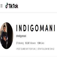 IndigoManiTikTok