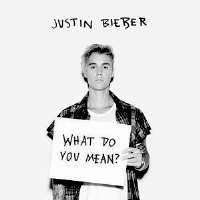 Poo Bear112 (Group), Where Are U Now (Song 2015), What Do You Mean? (Song 2015), Despacito (Remix) (Song 2017)