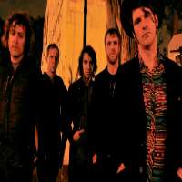 Anton NewcombeThe Dandy Warhols (Band), The High Dials (Band)
