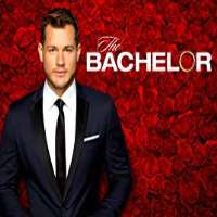 Tayshia AdamsThe Bachelor Season 23 (TV Series 2019)