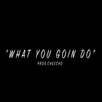 MoneyMarrWhat You Goin Do (Song), Crunch Time (Song), Gucci (Single 2018)