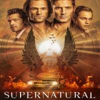 Alona TalVeronica Mars as Meg Manning (TV Series 2004-2005), Supernatural as Jo Harvelle (TV Series 2006-2011)