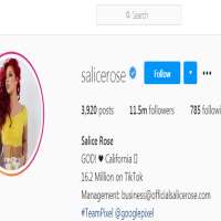 Salice RoseSalicerose (Instagram Account 2013)