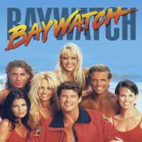 Jason BrooksDays of Our Lives as Peter Blake (Soap Opera 1993-1998), Baywatch as Sean Monroe (TV Series 1999-2001)