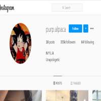 Nyla LueethPurp.alpaca (Instagram Account 2016)