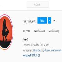 PettylevelsPettylevels (Instagram Account 2016)
