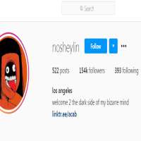 NoSheylinNosheylin (Instagram Account 2017)