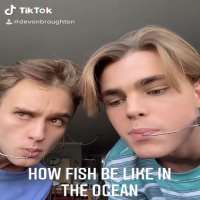 Devon BroughtonDevonbroughton (TikTok Account)