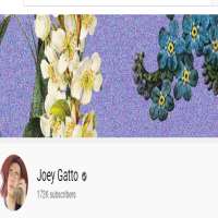 Joey GattoJoey Gatto (YouTube Channel 2012)