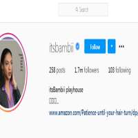 itsbambiiItsbambii (Instagram Account 2016)