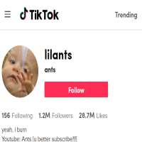 Anthony Nohlilants (TikTok Account 2019)