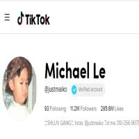 Michael LeTikTok