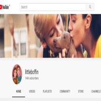 LittleBoffinlittleboffin (YouTube Channel 2016)
