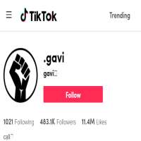 Gavinn Bod.gavi (TikTok Account)