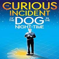 Alex SharpThe Curious Incident of the Dog in the Night-Time as Christopher Boone (Musical 2014-2015)