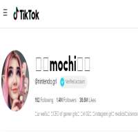 Nintendo.grlTikTok
