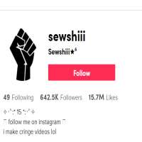 Sewshiiisewshiii (TikTok Account 2019)