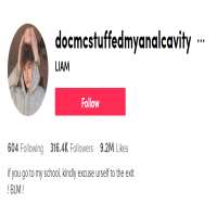 Liamislonelydocmcstuffedmyanalcavity (TikTok Account)