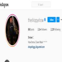 TheShiggyShowtheshiggyshow (Instagram Account 2016)