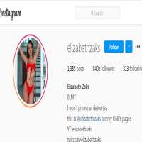 Elizabeth Zakselizabethzaks (Instagram Account 2013)