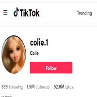 Colie.1colie.1 (TikTok Account)