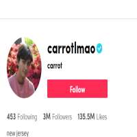 CarrotlmaoCarrotlmao (TikTok Account 2019)