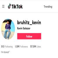 Bruhitz_Kevinbruhitz_kevin (TikTok Account 2016)