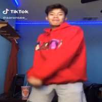 Aaron SeeTikTok 