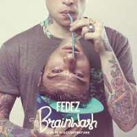 FedezSig. Brainwash - L'arte di accontentare (Song Album 2013)