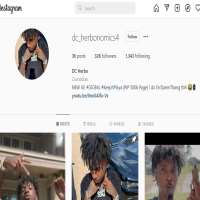 DC HerboInstagram 