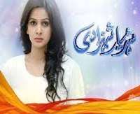 Saqib SumeerShehryar Shehzadi (TV Serial)