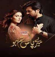 Shees Sajjad GulMere Pass Tum ho (TV Serial)