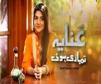 Danial Afzal KhanAnaya Tumhari Hui (TV Serial), Kab Mere Kehlaoge(TV Serial)