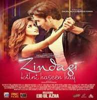 Nabeel ZuberiZindagi Kitni Haseen Hay Faraz (TV Serial)